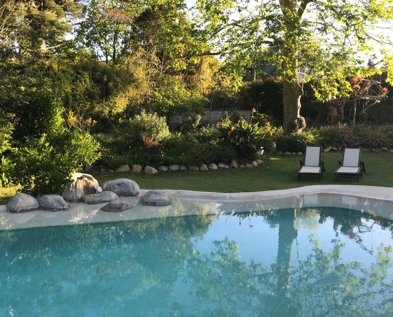 Beluga Of Constantia Guest House Кейптаун Екстериор снимка